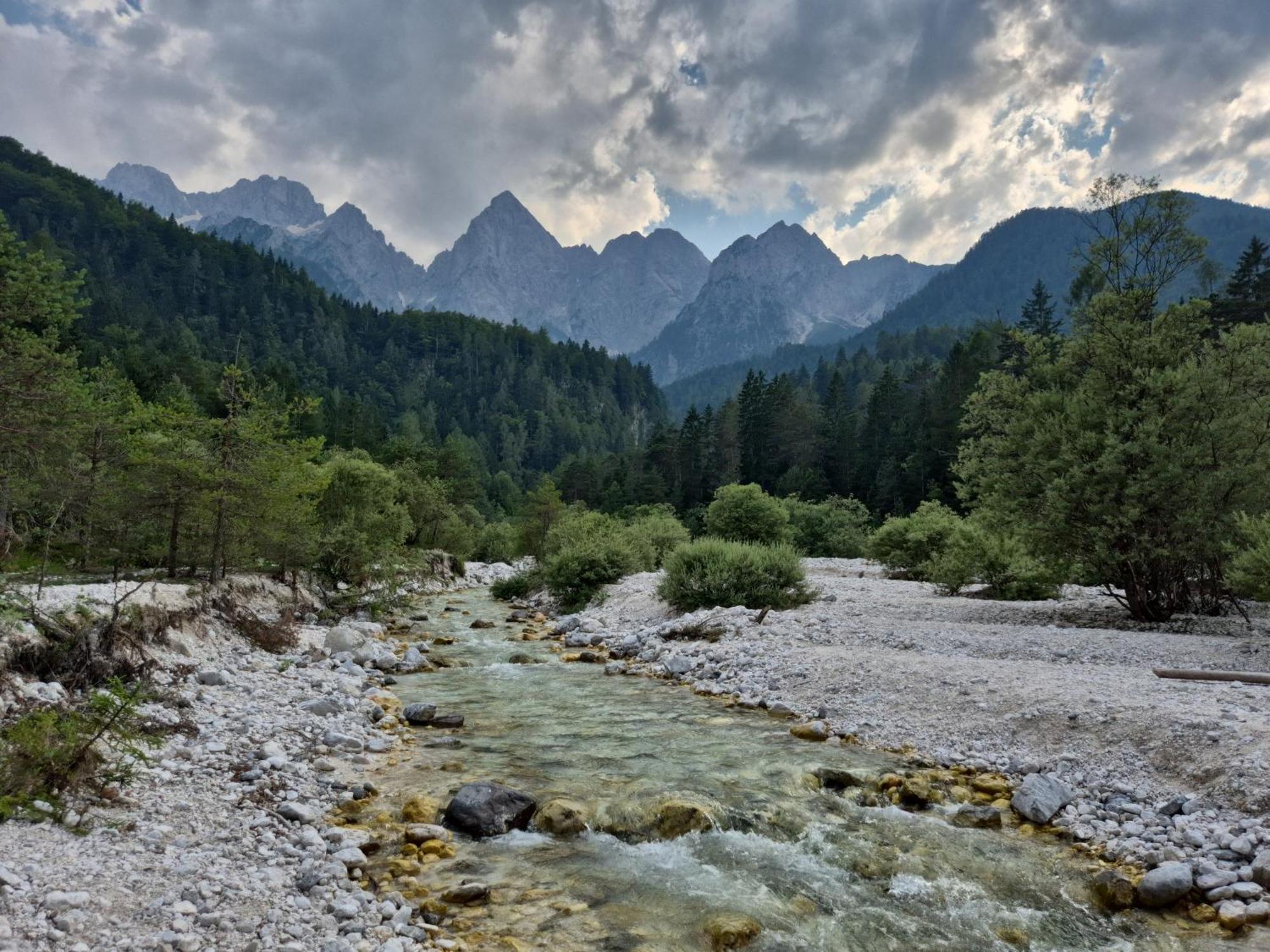 Hisa Oblak Gozd Martuljek Exterior foto